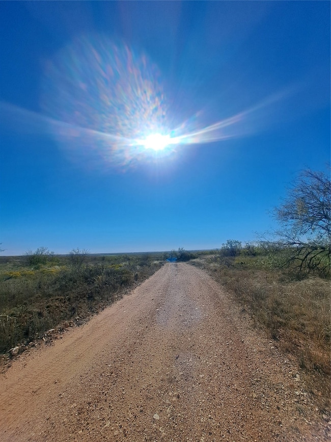 TBD 140 60 Acres, Merkel, TX 79536 - photo 3