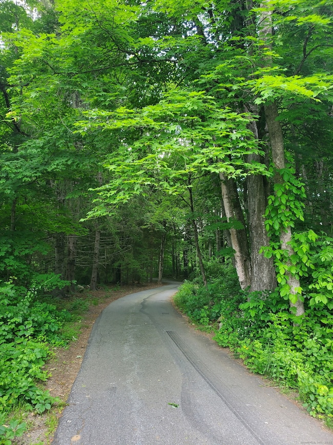 8 S Bigelow Rd, Hampton, CT 06247 - photo 7