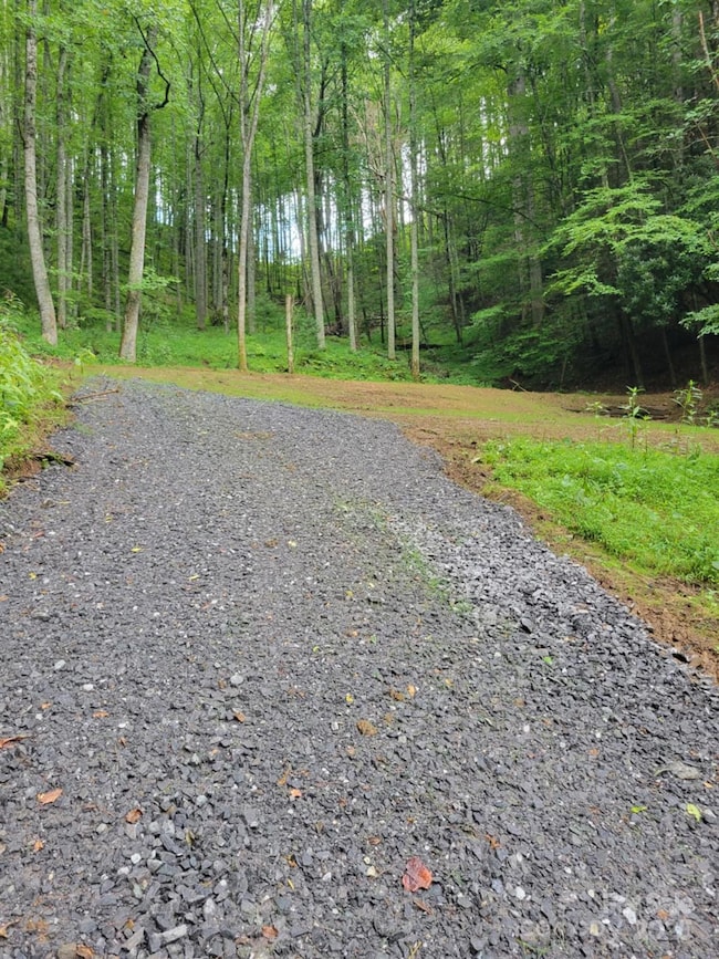 295 Bennett Branch Rd, Green Mountain, NC 28740 - photo 2