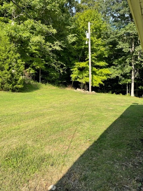 2050 Limekiln Rd, Tennessee Ridge, TN 37178 - photo 2