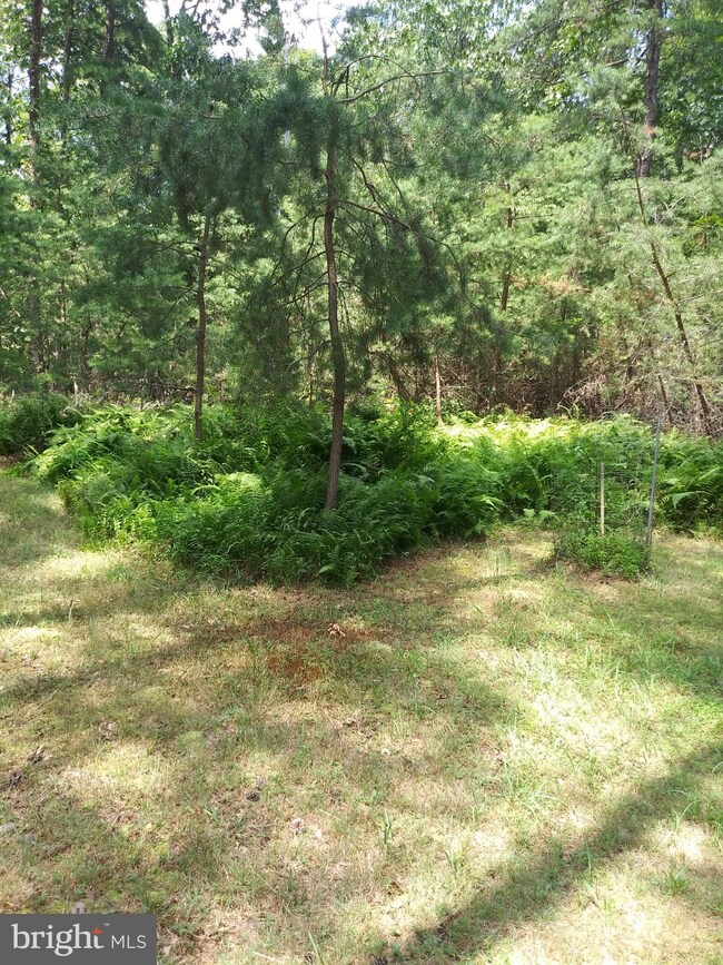 0 Little Cacapon-Levels Rd, Slanesville, WV 25444 - photo 4