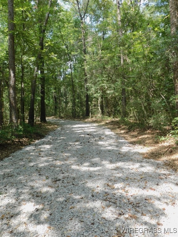 25278 Hidden Forest Ln, Andalusia, AL 36421 - photo 5