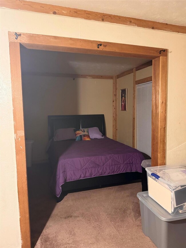 Bedroom with carpet flooring