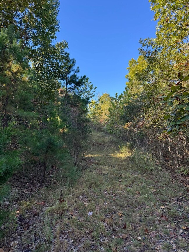 000 Hwy 9, Rushing, AR 72051 - photo 6