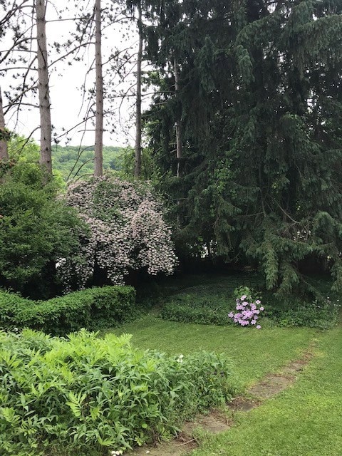 1035 Liberty St, Newburgh, NY 12550 - photo 5