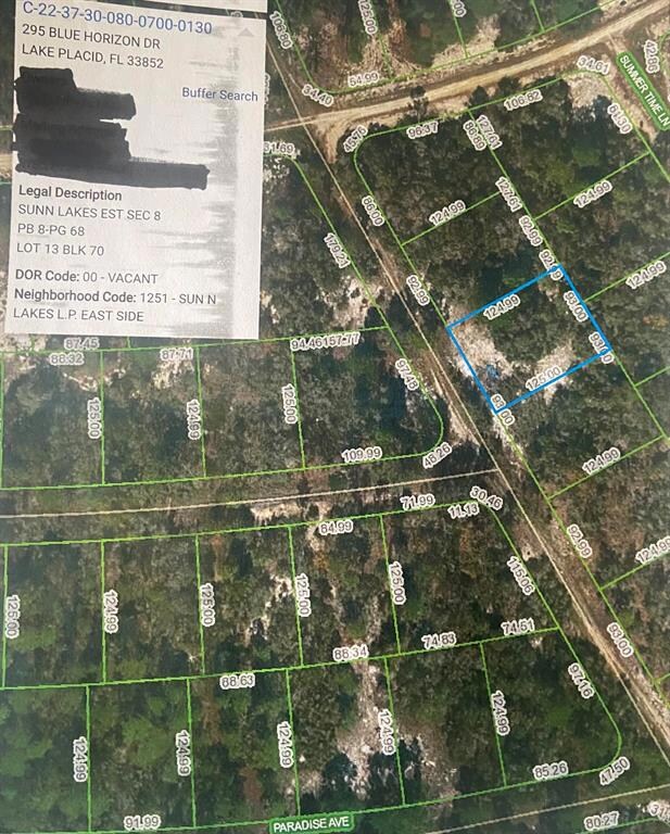 295 Blue Horizon Dr, Lake Placid, FL 33852 - photo 2