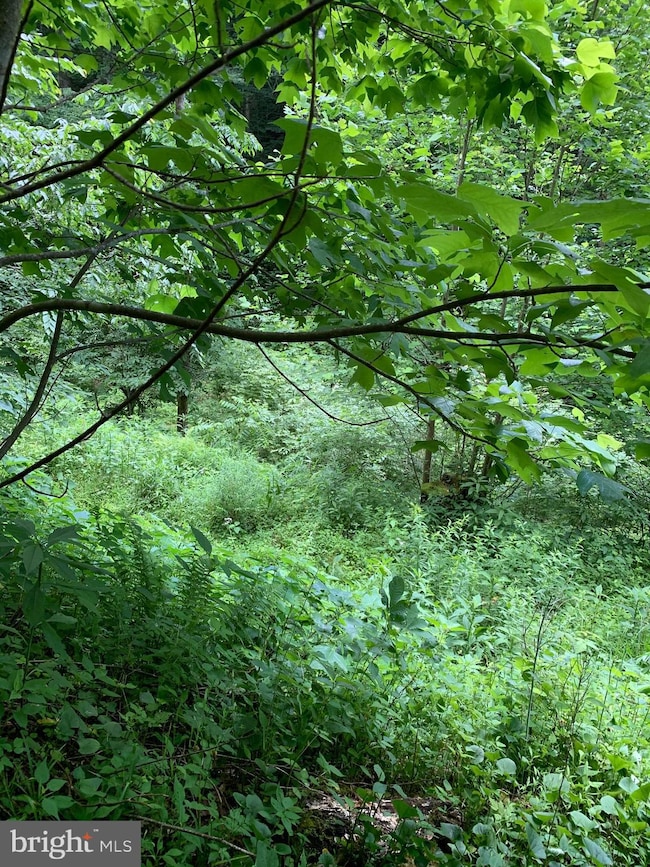 0 Route 5, Renick, WV 24966 - photo 6