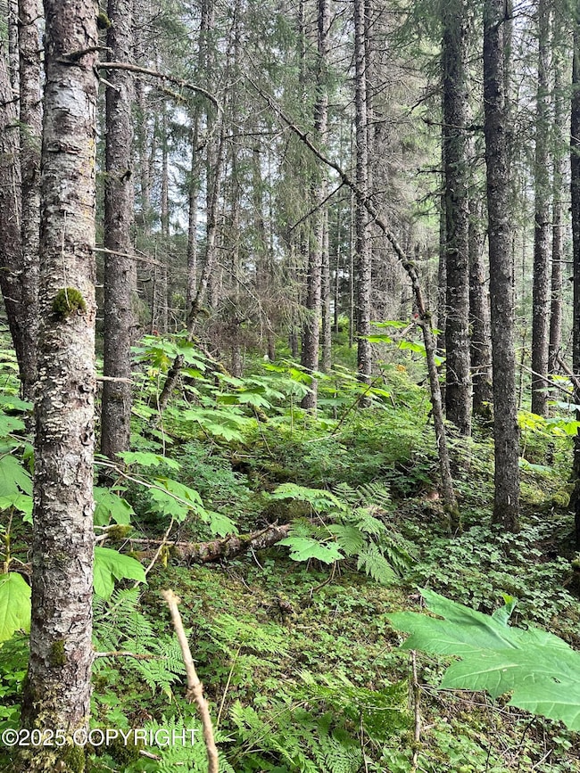 L17 B11 Malcolm St, Seldovia, AK 99663 - photo 7