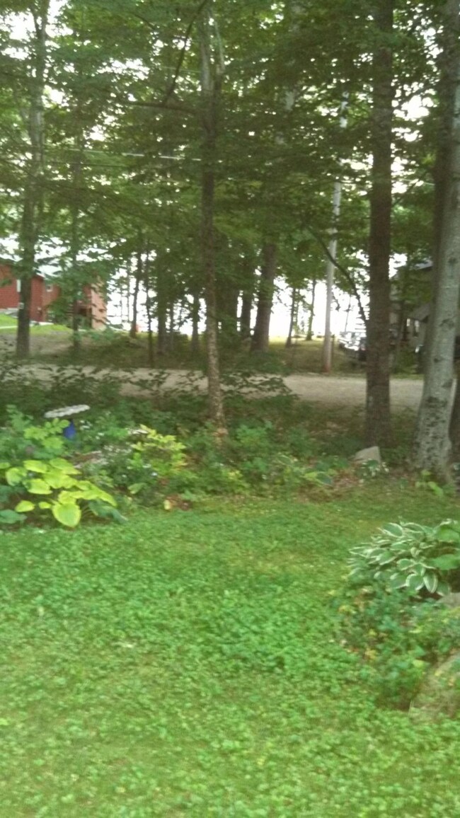 summertime view