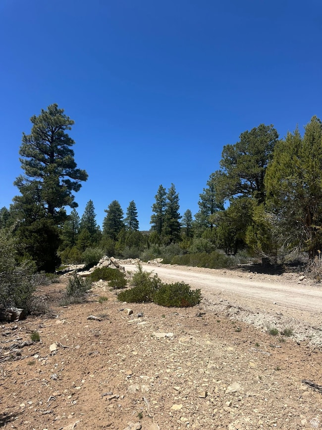 View of dirt / gravel road
