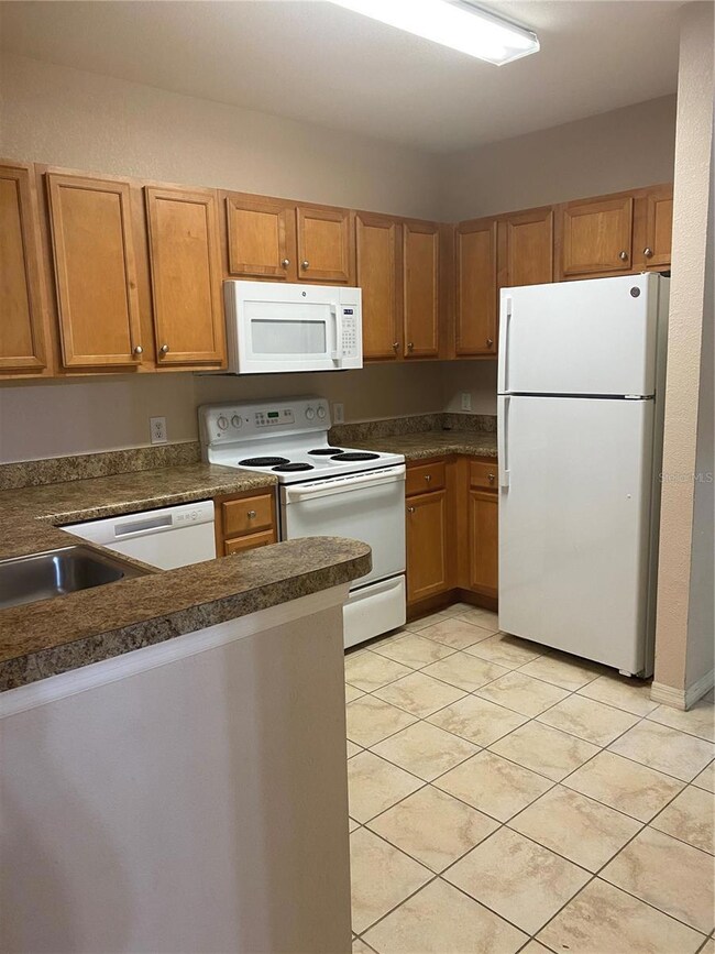 The Registry at Michigan Park unit 1306, Orlando, FL 32822 - photo 5