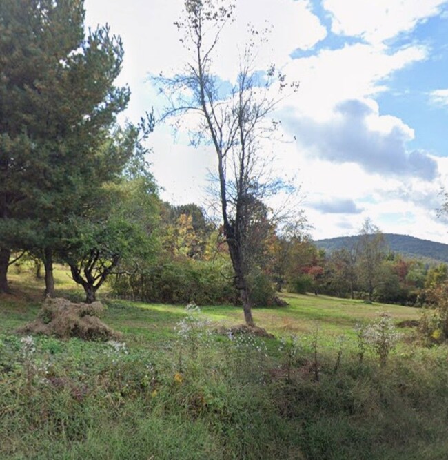 0 Willow Tree Rd, Milton, NY 12547 - photo 5