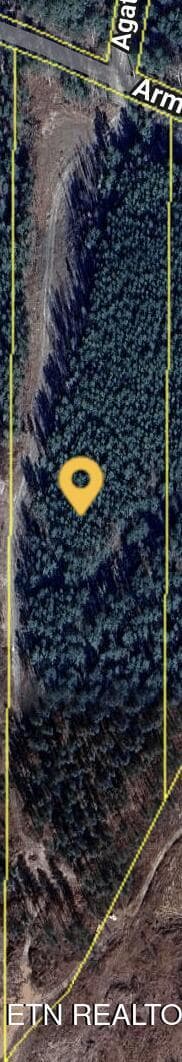 3203 Armstrong Ferry Rd, Decatur, TN 37322 - photo 6