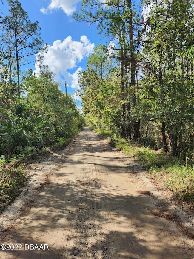 4625 Fir Rd, New Smyrna, FL 32168 - photo 4