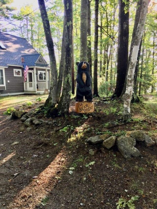 14 Bear Point Rd, Meredith, NH 03253 - photo 2