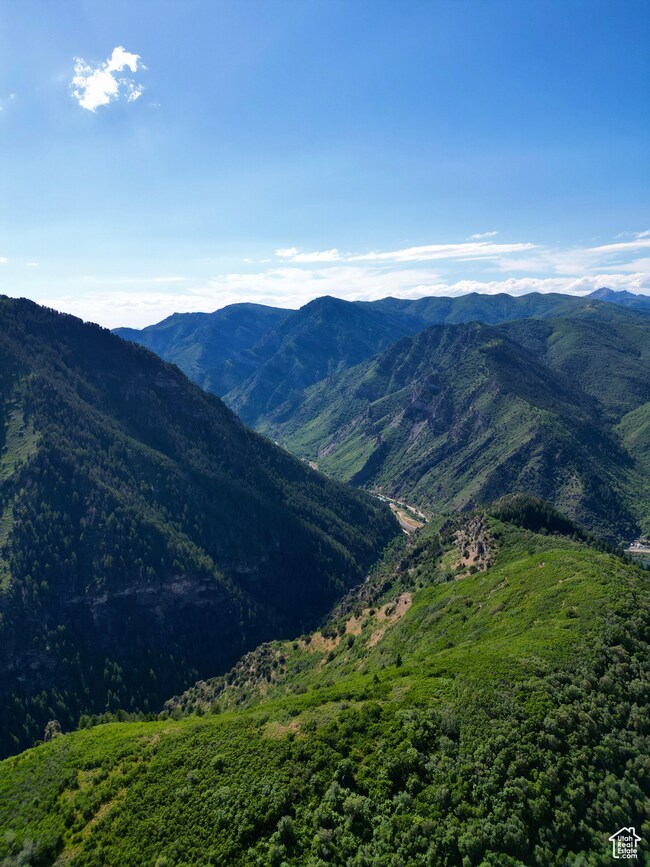 VIEW OF WEBER CANYON