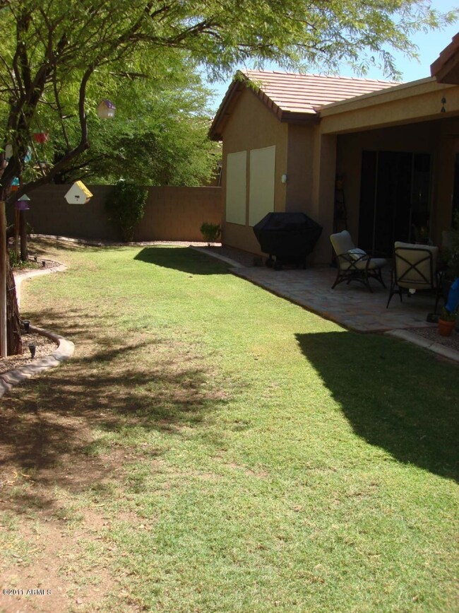 backyard 2