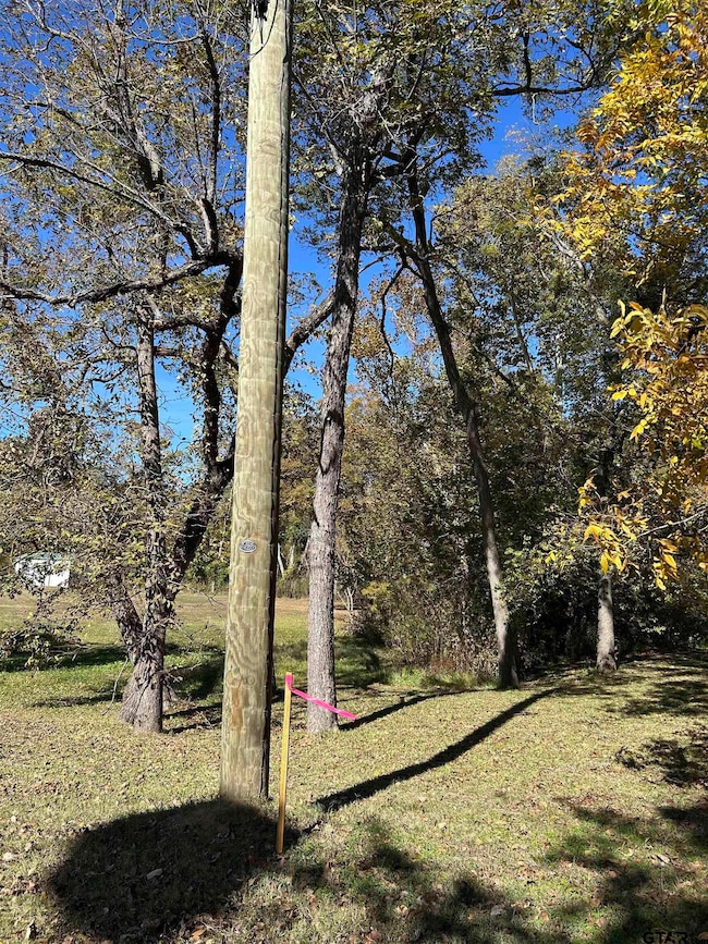 TBD Keith St, Mount Vernon, TX 75457 - photo 2