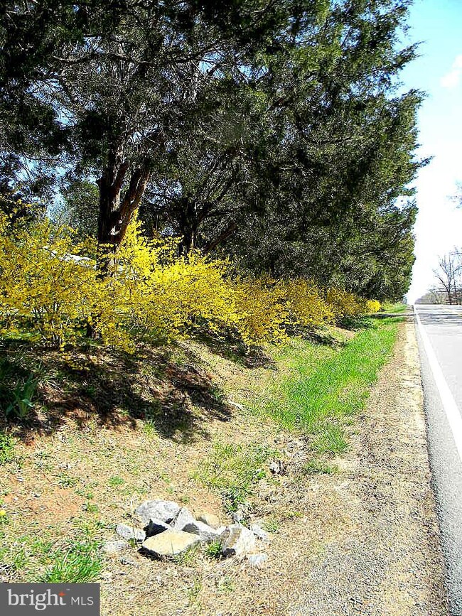 4566 Dumfries Rd, Catlett, VA 20119 - photo 5