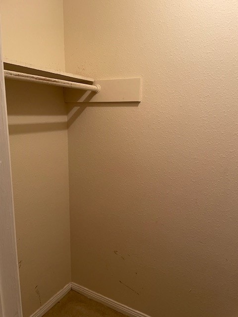 12306 Wild Pine Dr unit D, Houston, TX 77039 - photo 6