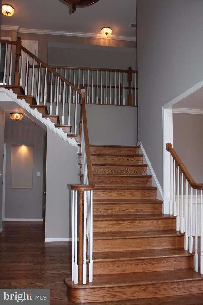 6 Irving Ct, Stafford, VA 22556 - photo 3