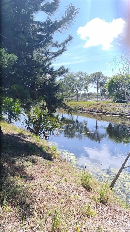 backyard wide canal