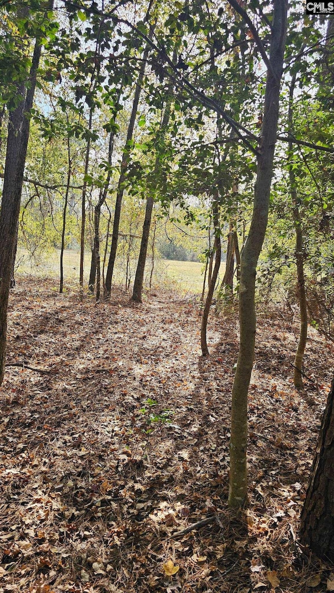 4079 Jefferson Davis Hwy, Bethune, SC 29009 - photo 2