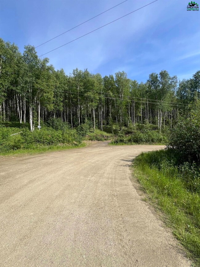 NHN Snowbasin Rd, Fairbanks, AK 99709 - photo 4
