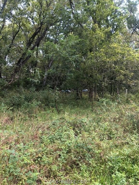 20402 CR 510 U LANE Leperchaun Ln Ln, Other, TX 77422 - photo 5