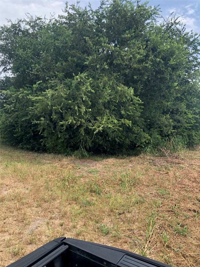 546 Fm 360 Rd, Beasley, TX 77417 - photo 4