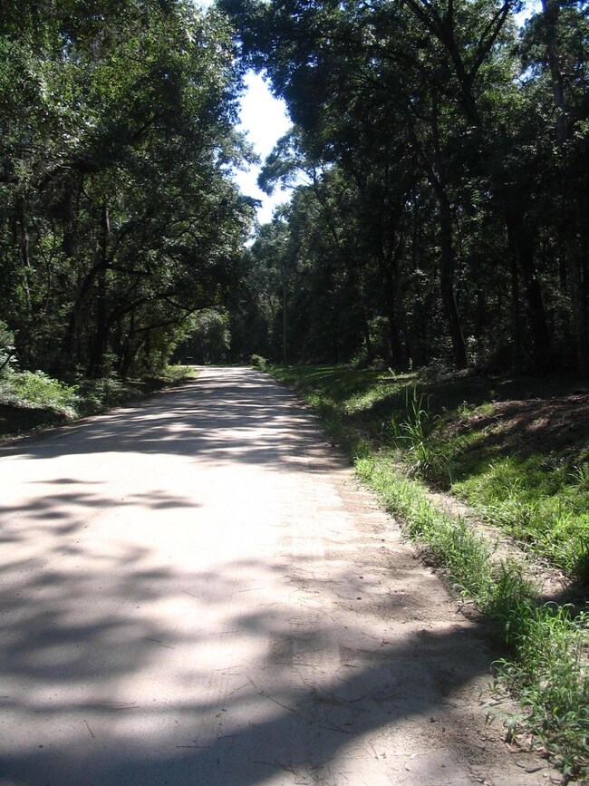 Wadmalaw