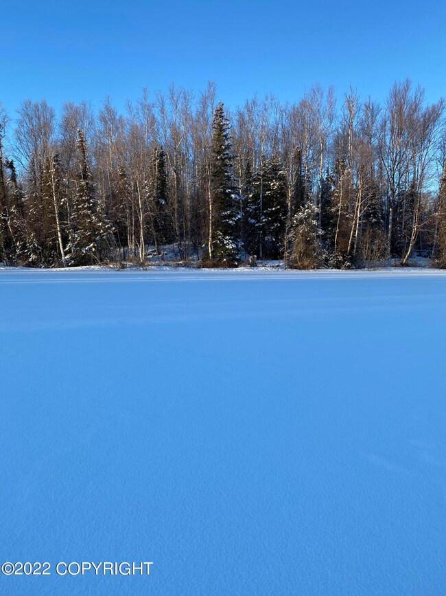 Winter Time
