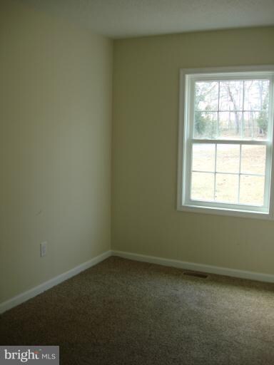 26041 Sunshine Rd, Ruther Glen, VA 22546 - photo 4