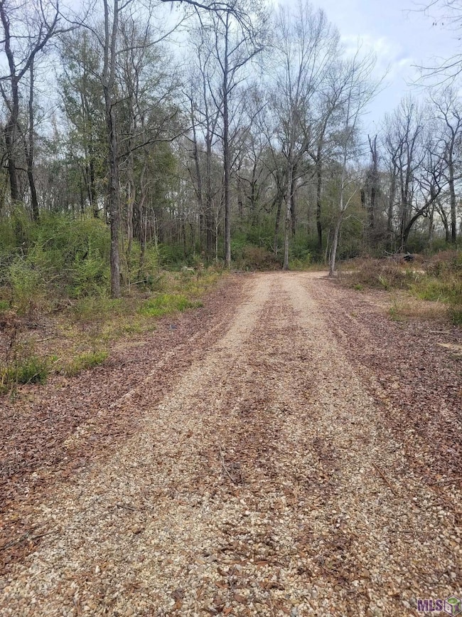 10851 Hidden Cypress Ct, Central, LA 70714 - photo 5