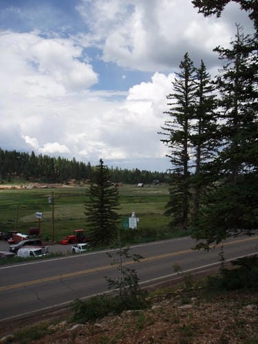 Overlooks meadow