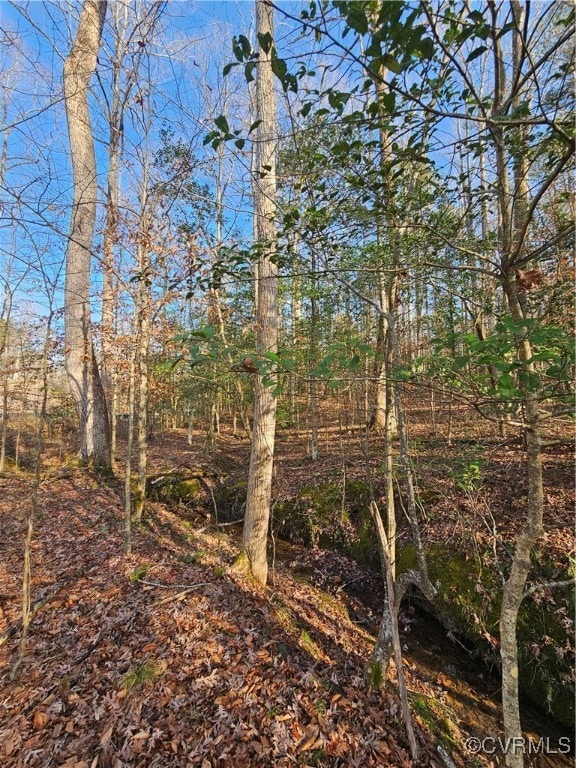 12812 Hull Street Rd, Midlothian, VA 23112 - photo 6