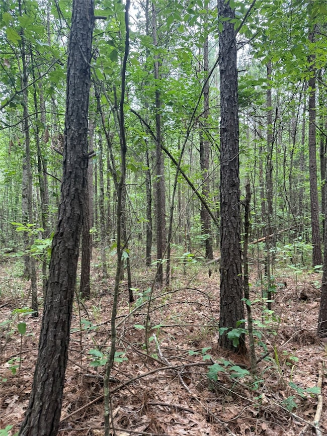 0 Crouch Rd unit 4 20967077, Benton, LA 71006 - photo 4