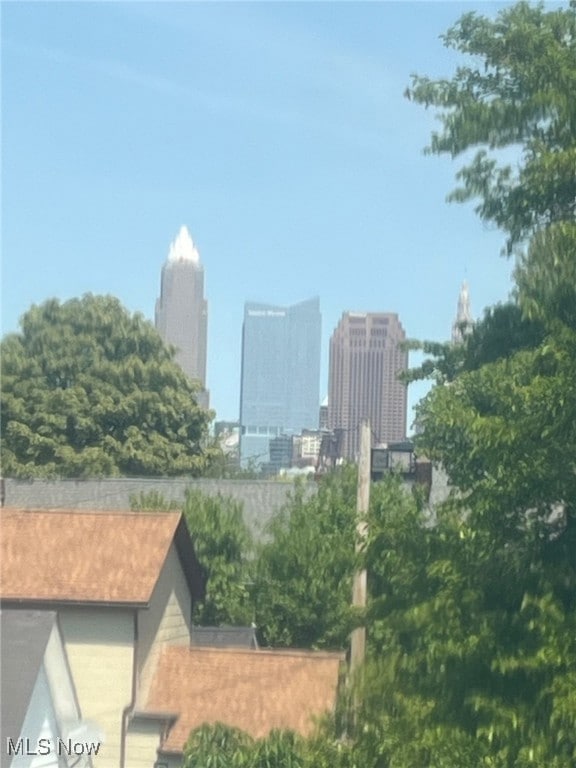 5217 Herman Ave unit S/L 3, Cleveland, OH 44102 - photo 7