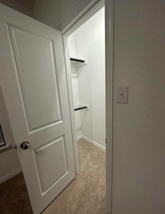 Walk in closet with light colored carpet