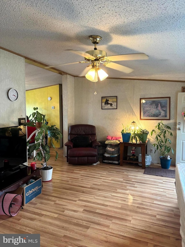 18553 Downs Rd, Georgetown, DE 19947 - photo 5