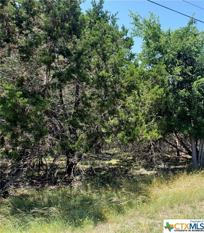 5572 Cliff Ln, Temple, TX 76502 - photo 3