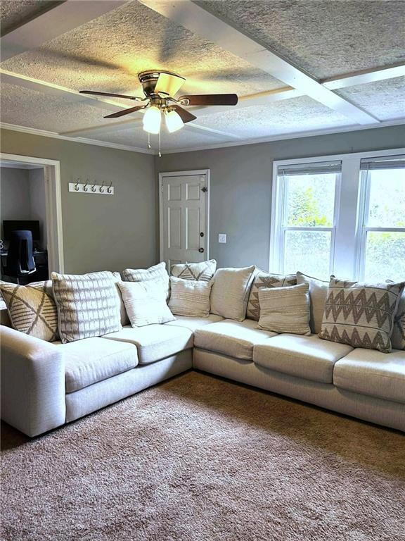 109 Baugh St, Commerce, GA 30529 - photo 7