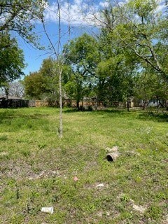 1056 South Ln, Houston, TX 77088 - photo 2
