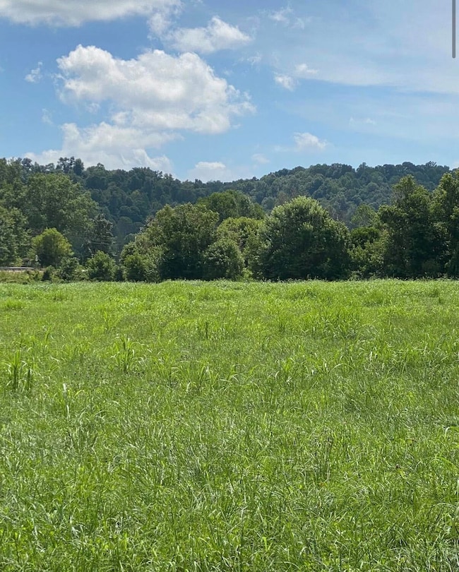 11.24 Hwy 3264, Science Hill, KY 42553 - photo 2