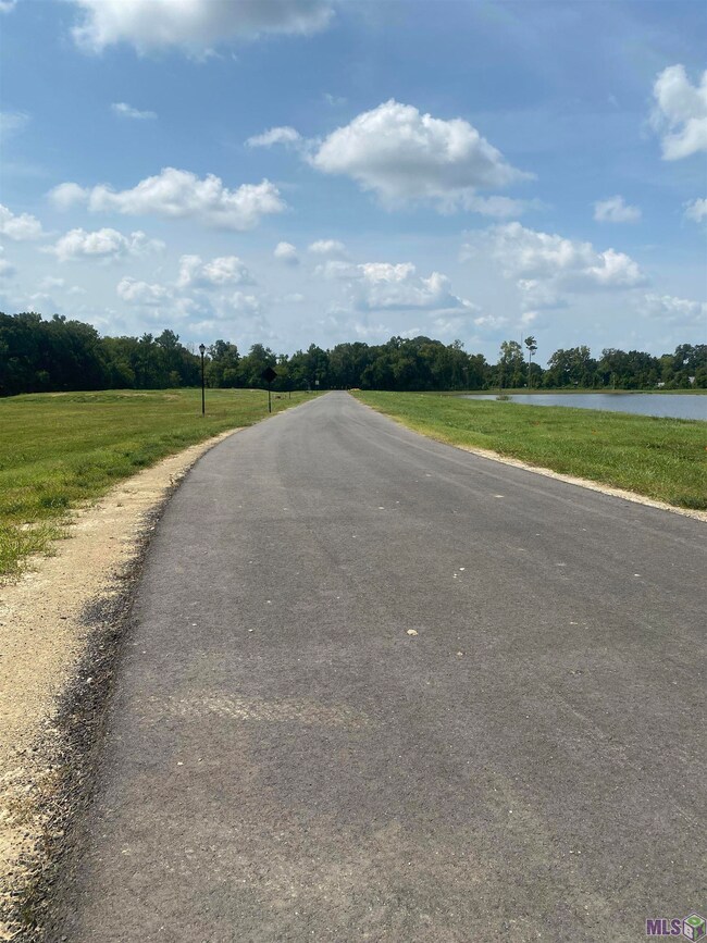 Lot 30 Buddy Gore Rd, Gonzales, LA 70737 - photo 6