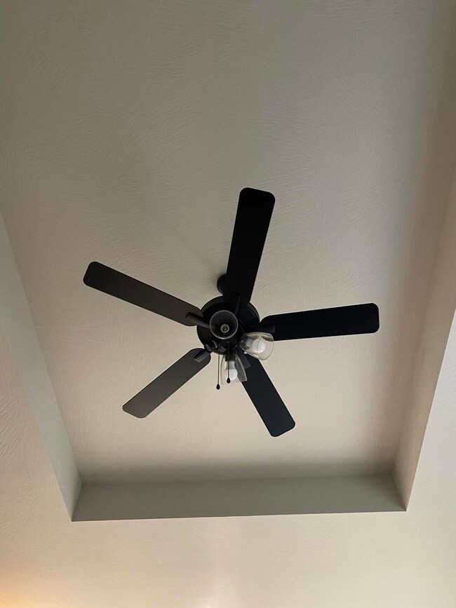 Living Room Tray Ceiling