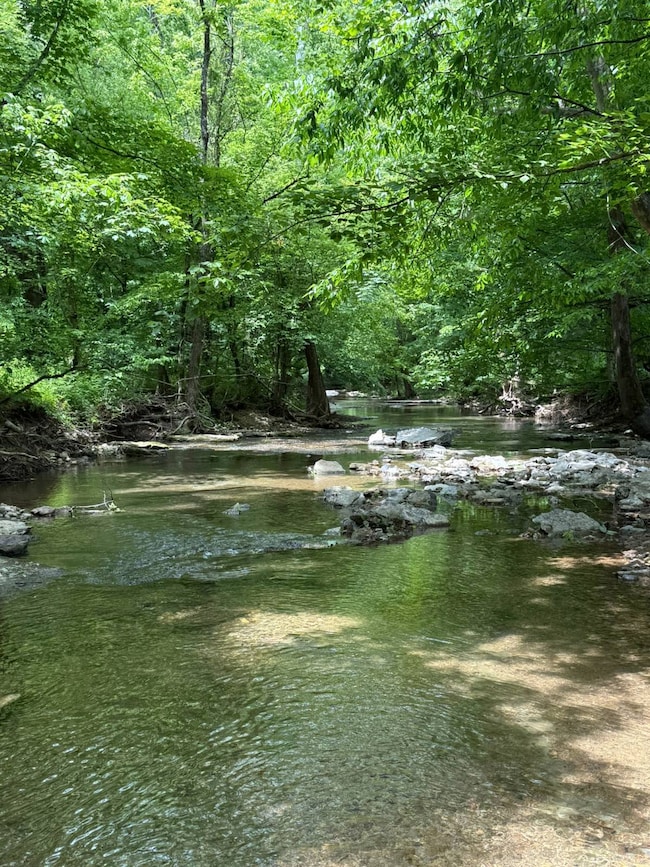 850 Potters Creek Rd, Burkesville, KY 42717 - photo 2