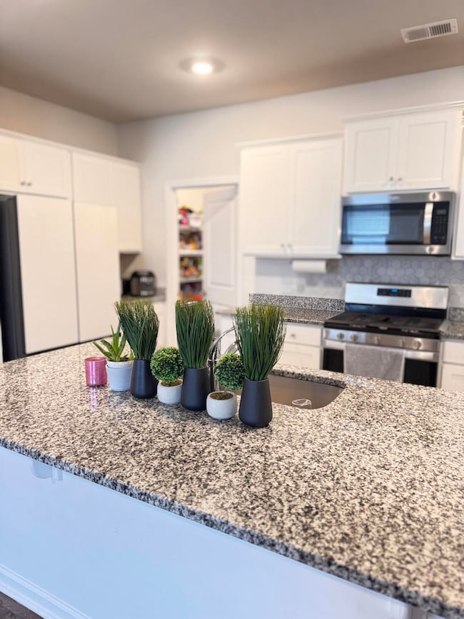 1010 Peridote Way, Ladson, SC 29456 - photo 7