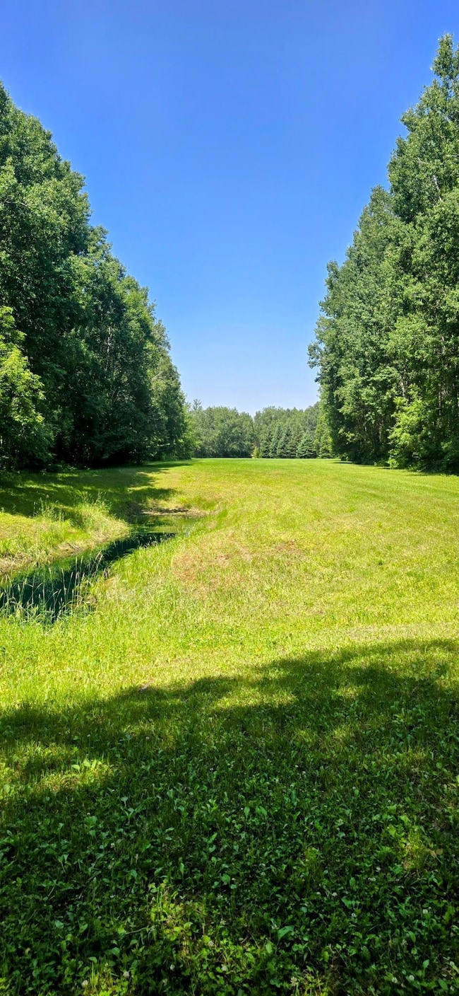 2965 Bankton Rd SW, Baudette, MN 56623 - photo 5