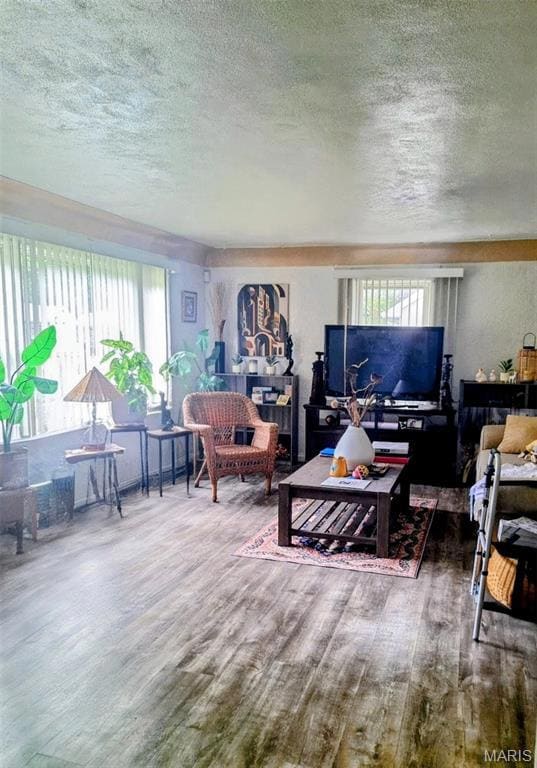 Living room with a textured ceiling, wood finished floors, and a textured wall
